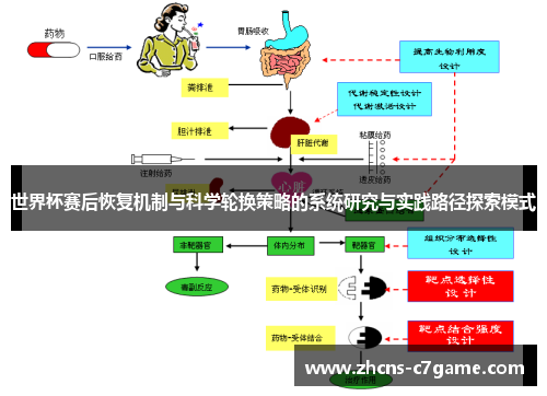 世界杯赛后恢复机制与科学轮换策略的系统研究与实践路径探索模式 世界杯赛后恢复机制与科学轮换策略的系统研究与实践路径探索模式